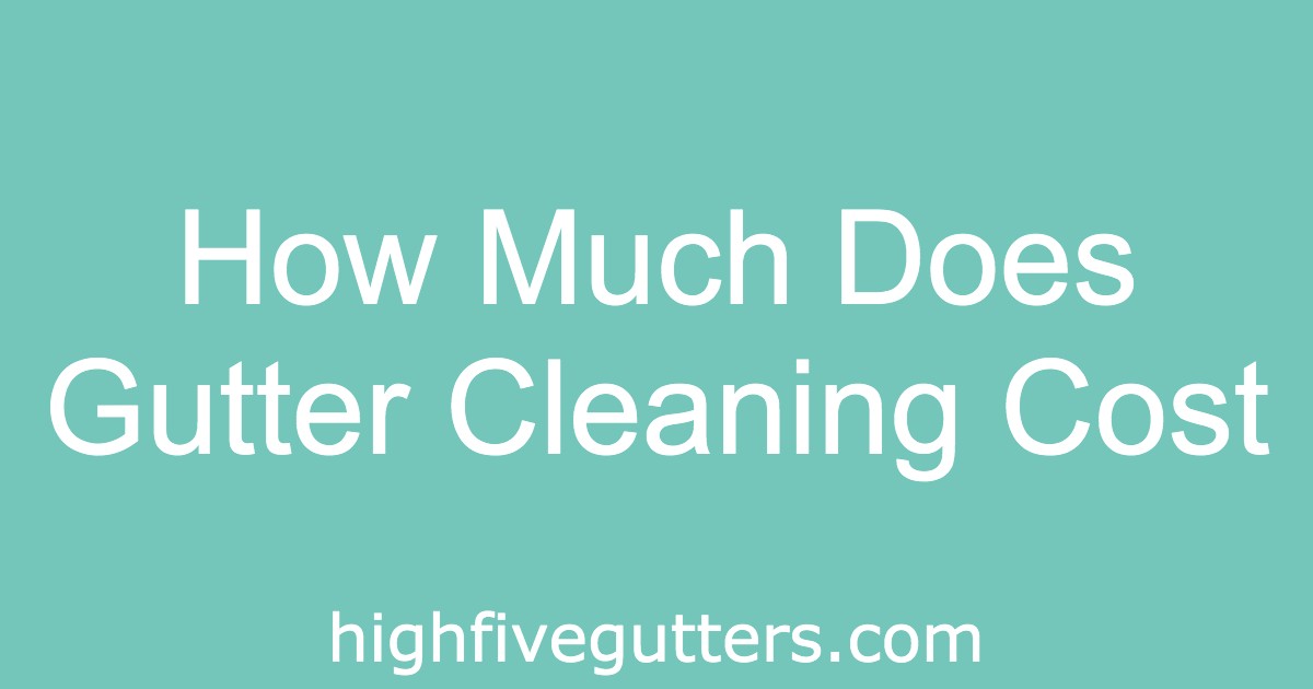How Much Does Gutter Cleaning Cost? High Five Gutters