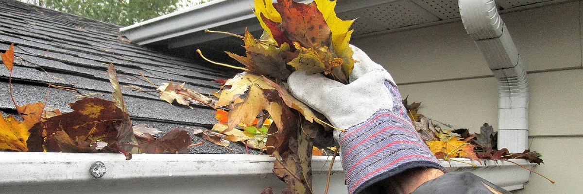 Gutter cleaning