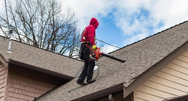 roof cleaning roof cleaning