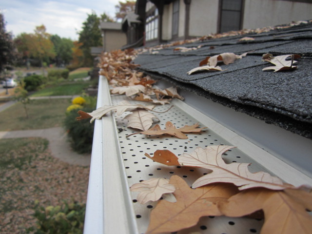 Leaves on gutter guard